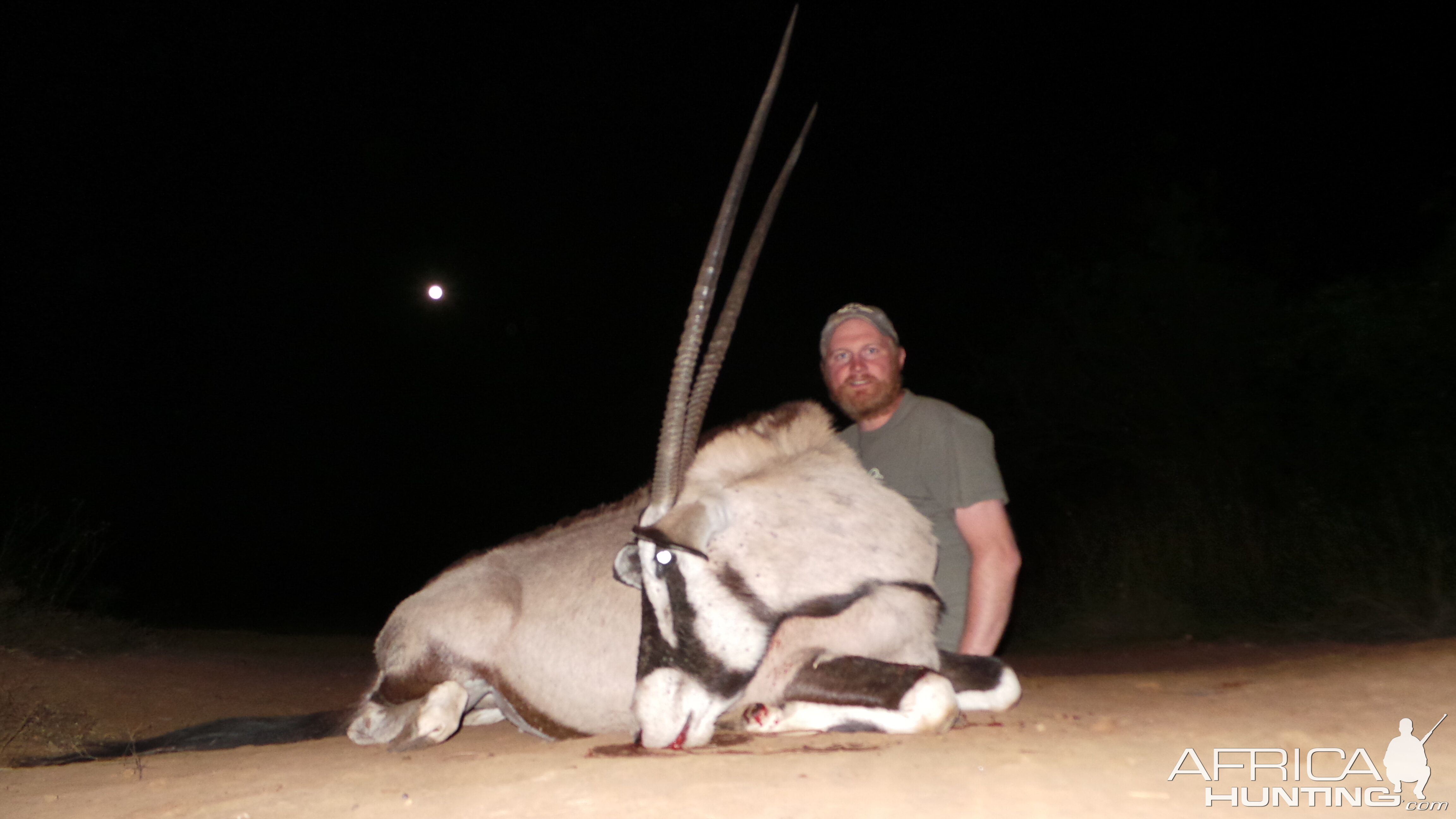 Hunt Gemsbok South Africa