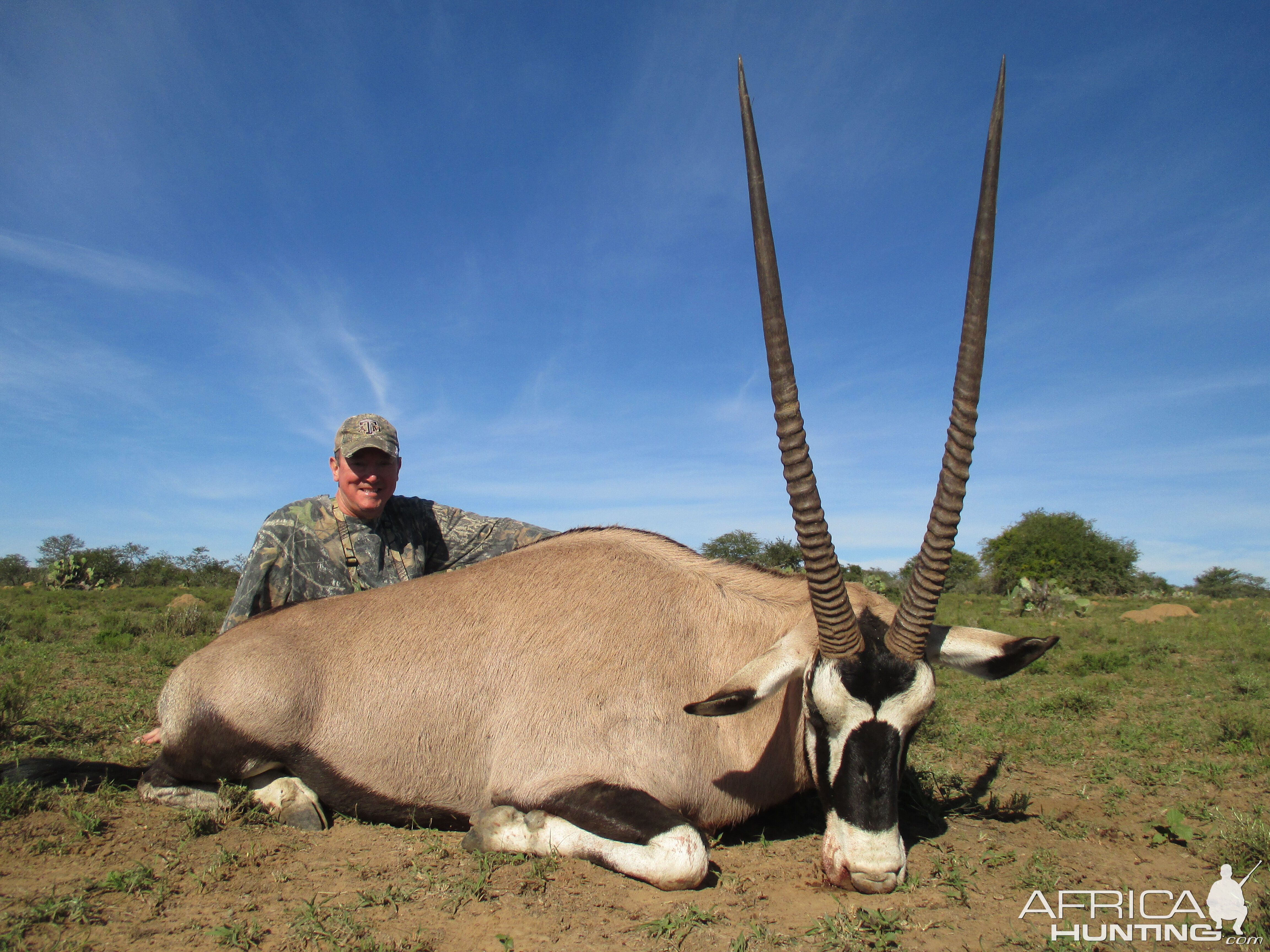 Hunt Gemsbok South Africa