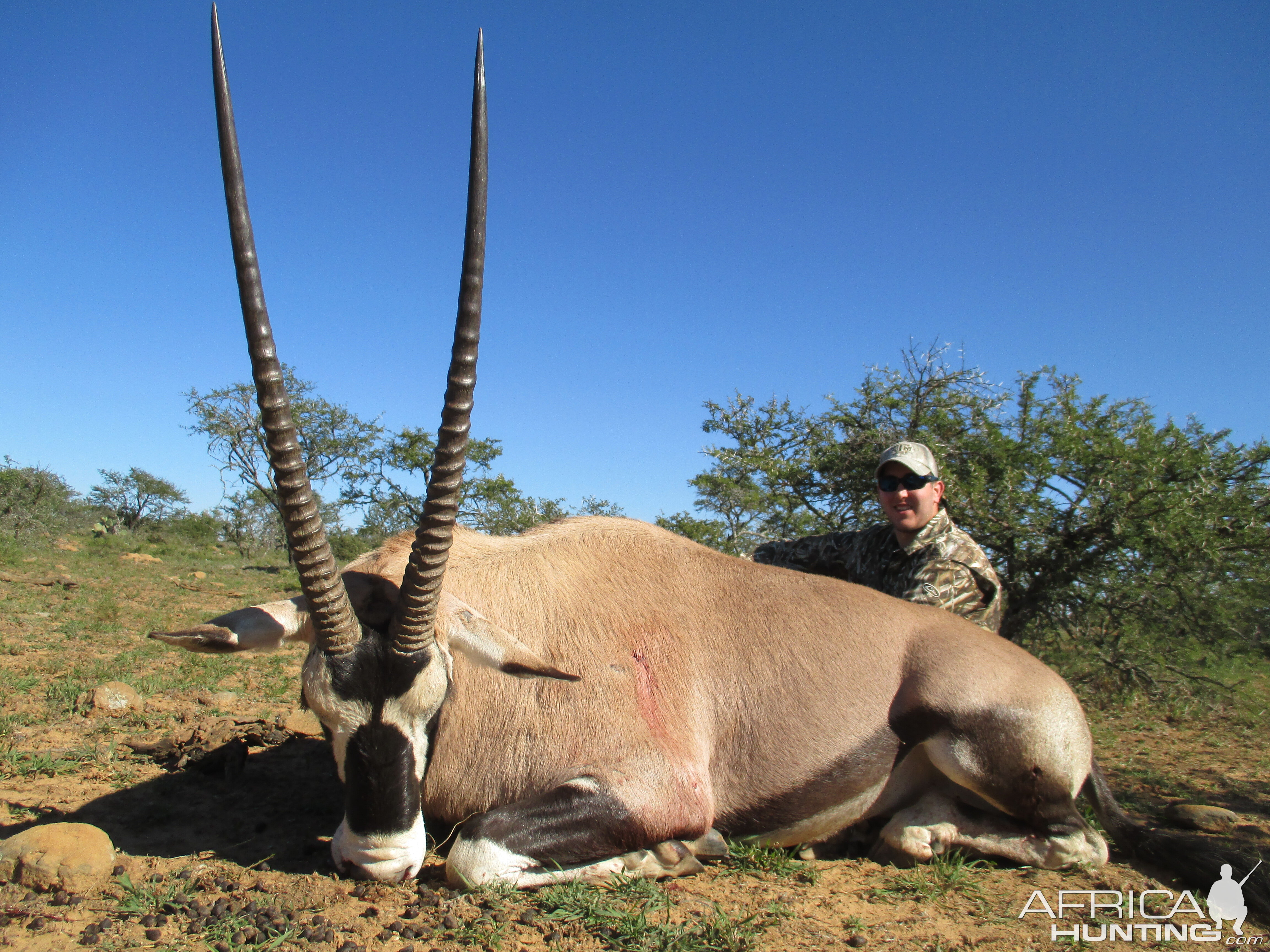 Hunt Gemsbok South Africa