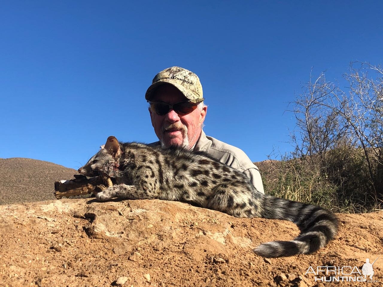 Hunt Genet Cat in South Africa