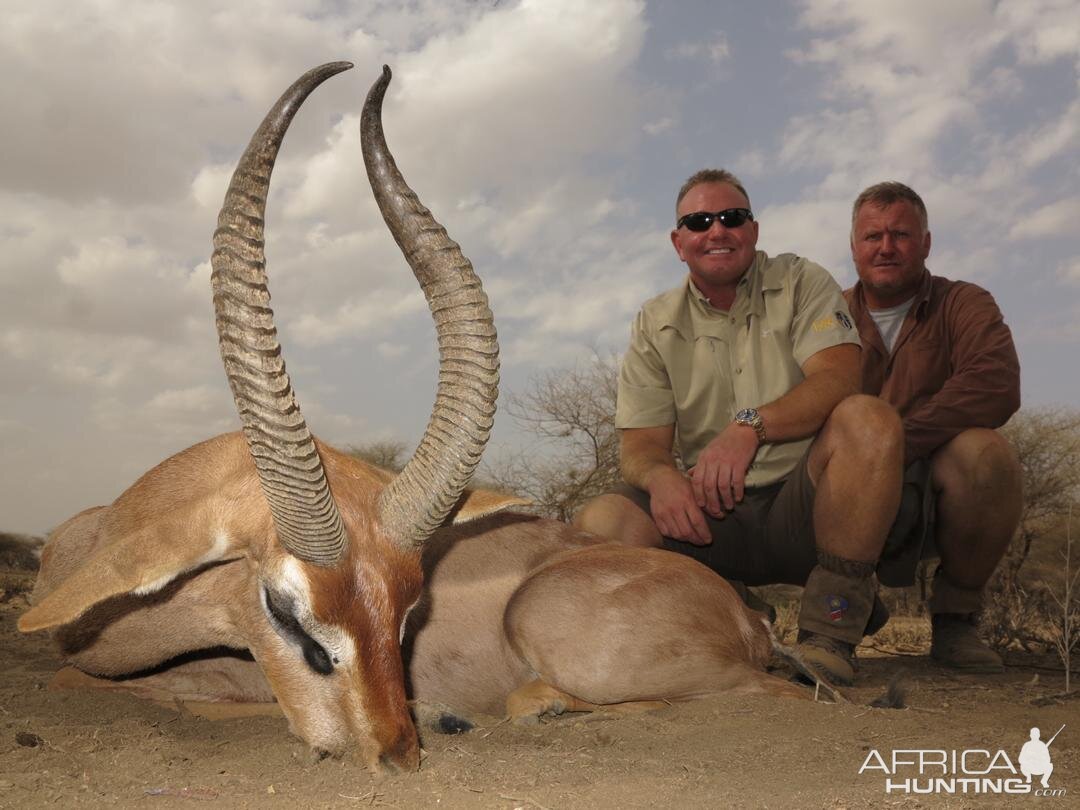 Hunt Gerenuk in Tanzania