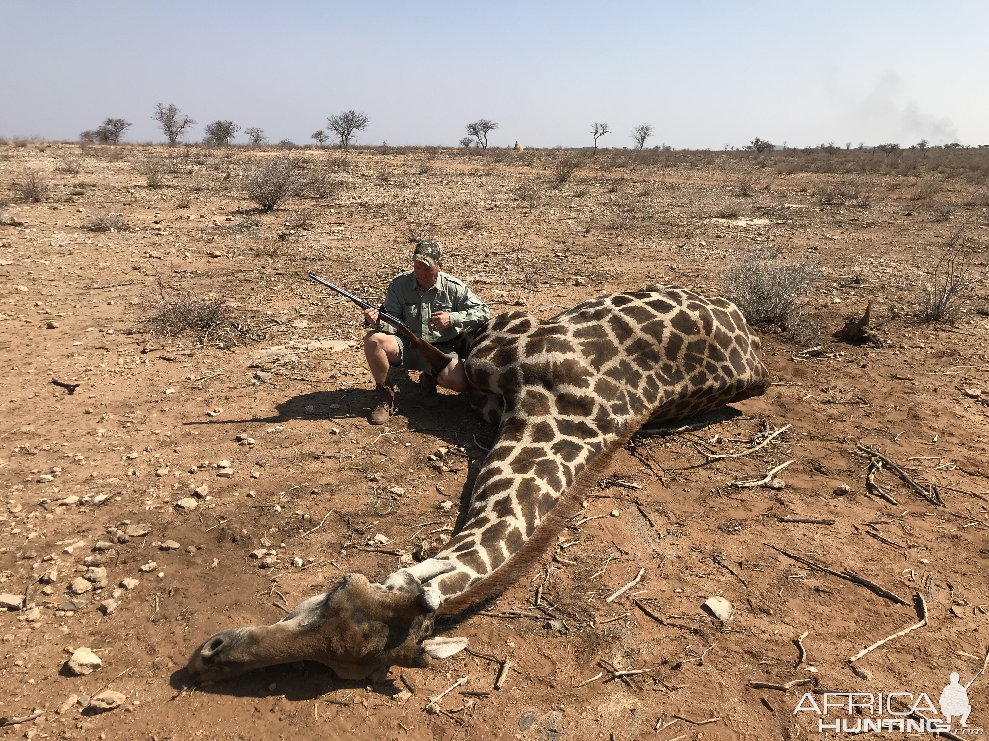 Hunt Giraffe in Namibia