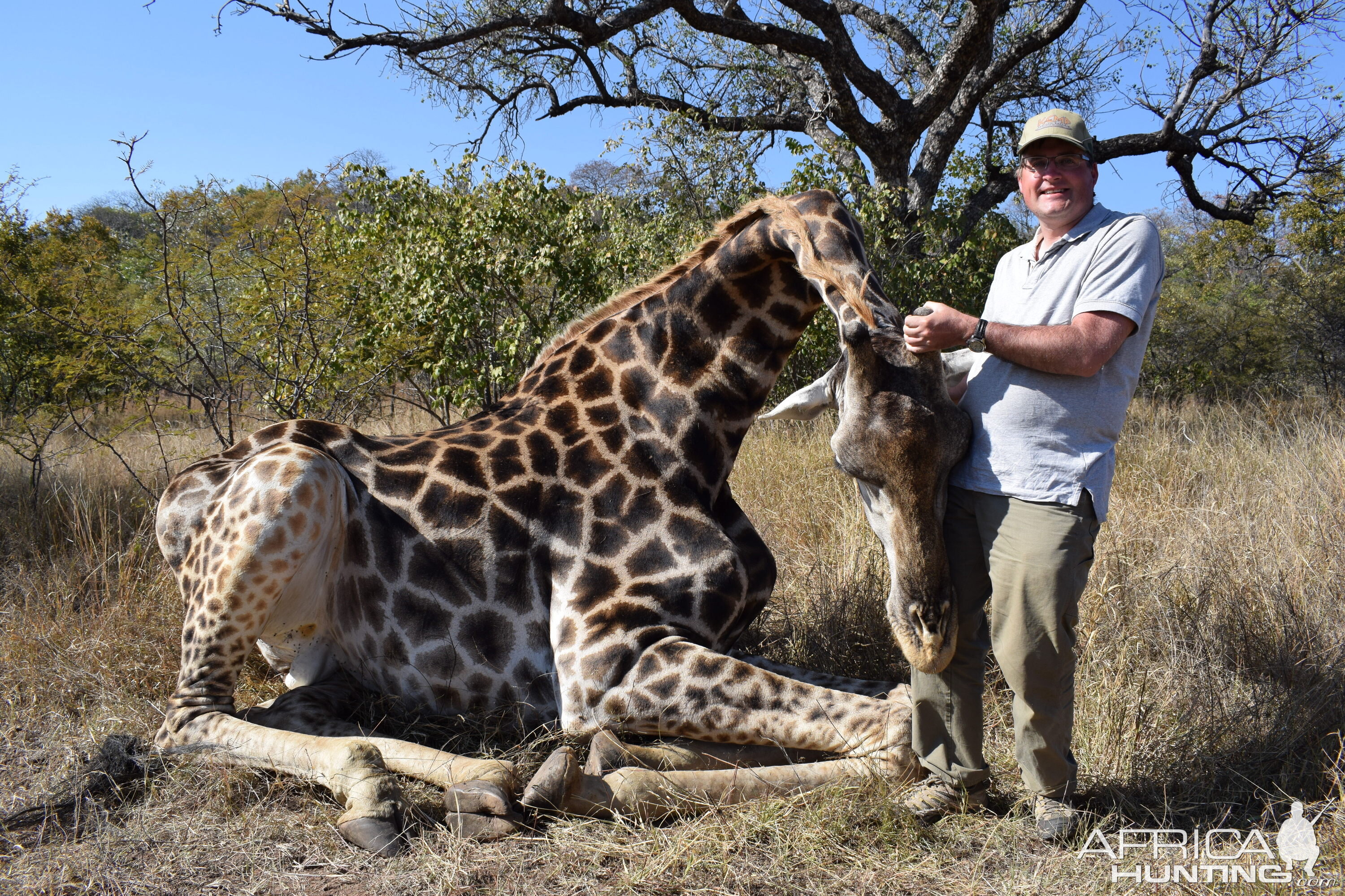 Hunt Giraffe in South Africa