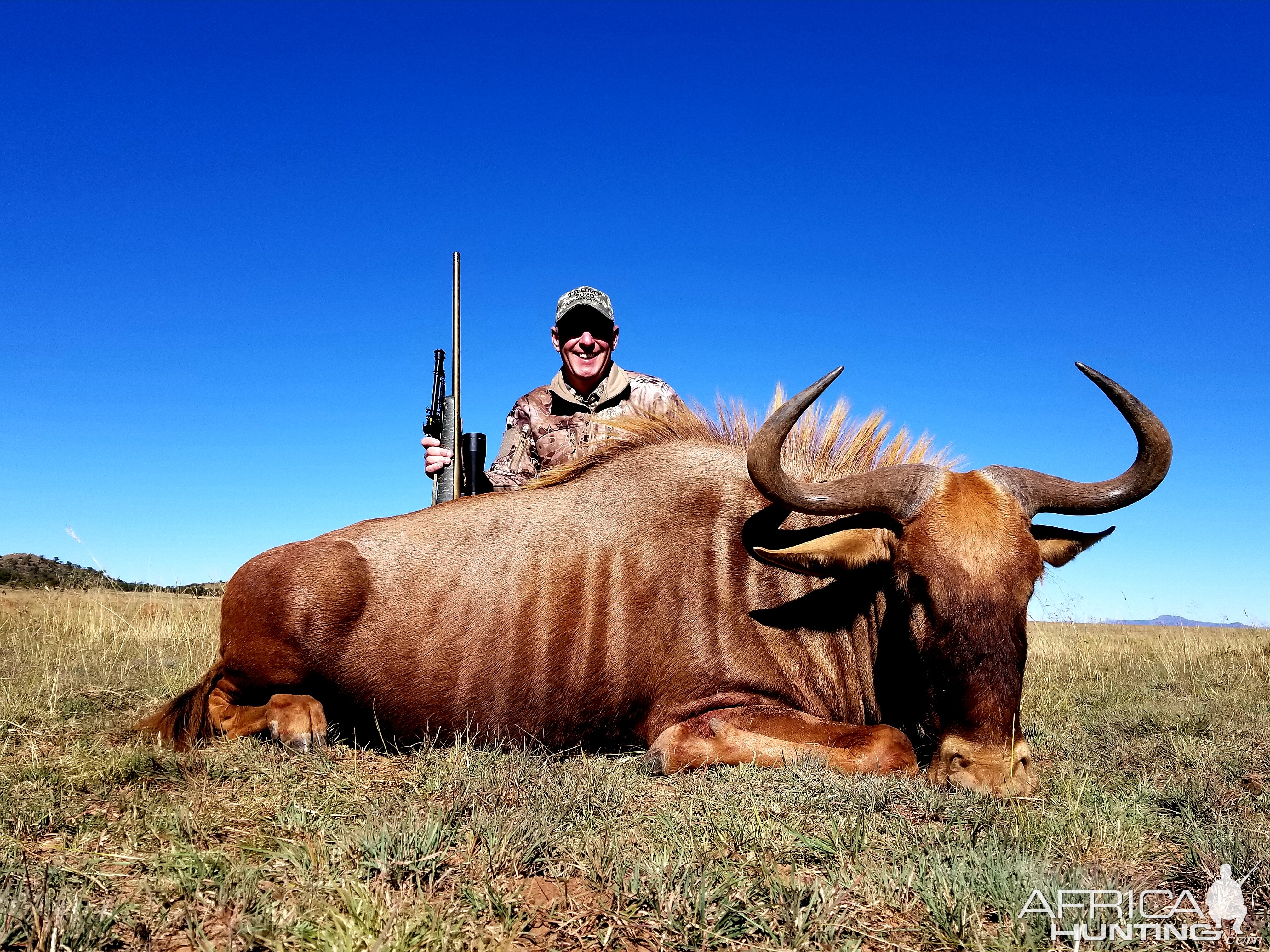 Hunt Golden Wildebeest in South Africa