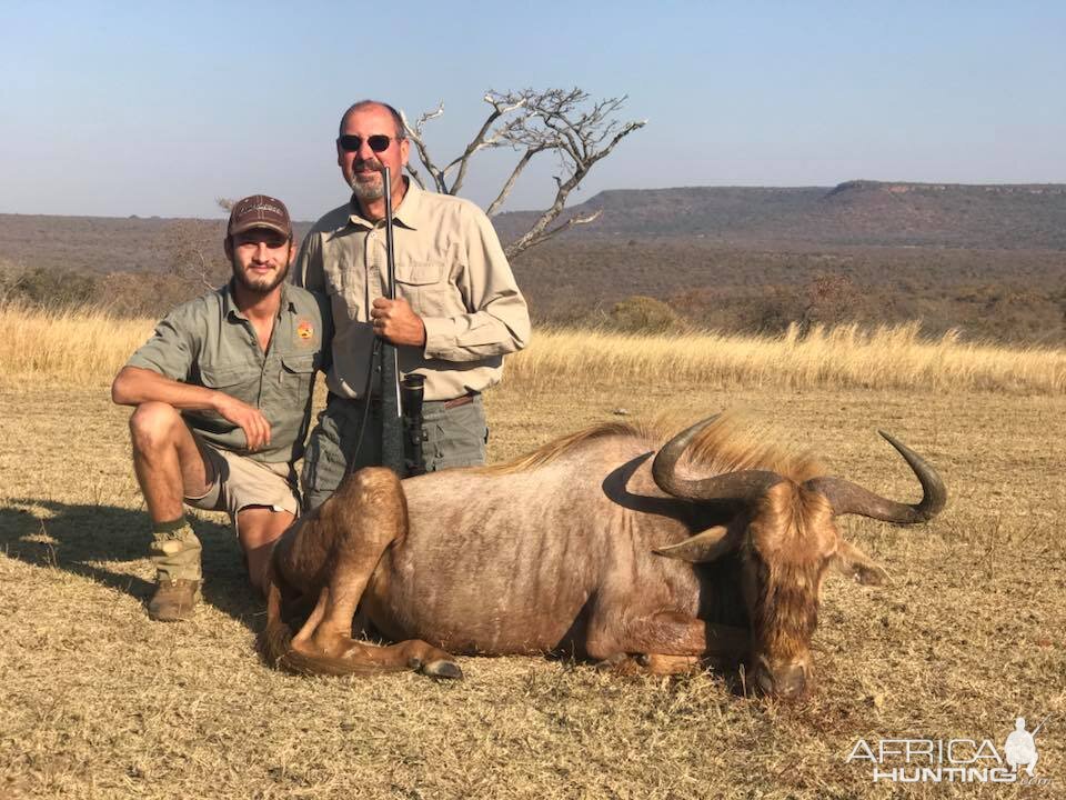 Hunt Golden Wildebeest South Africa