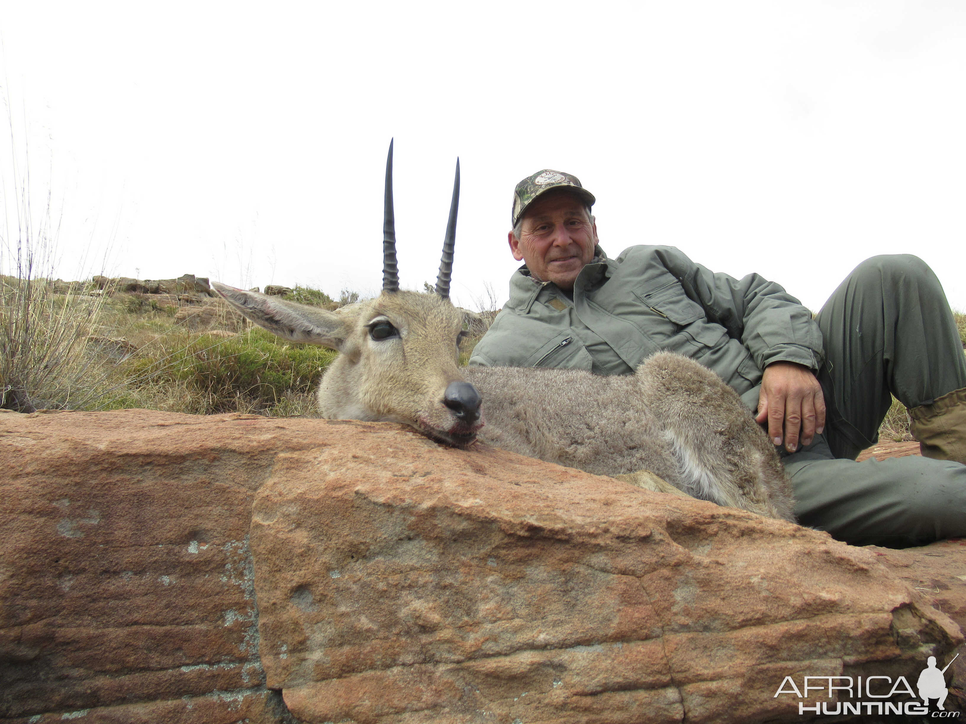 Hunt Grey Rhebok in South Africa