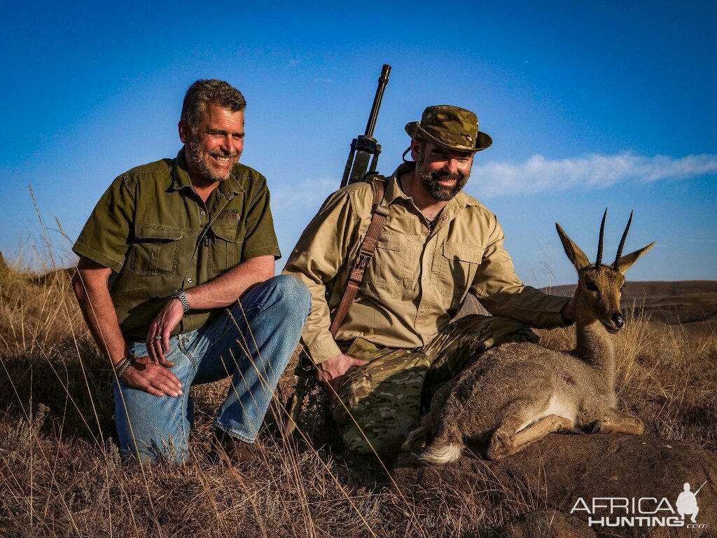 Hunt Grey Rhebok in South Africa