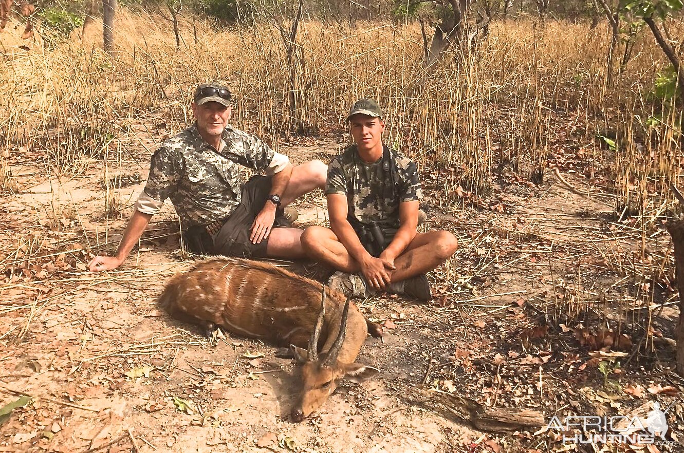 Hunt Harnessed Bushbuck Benin