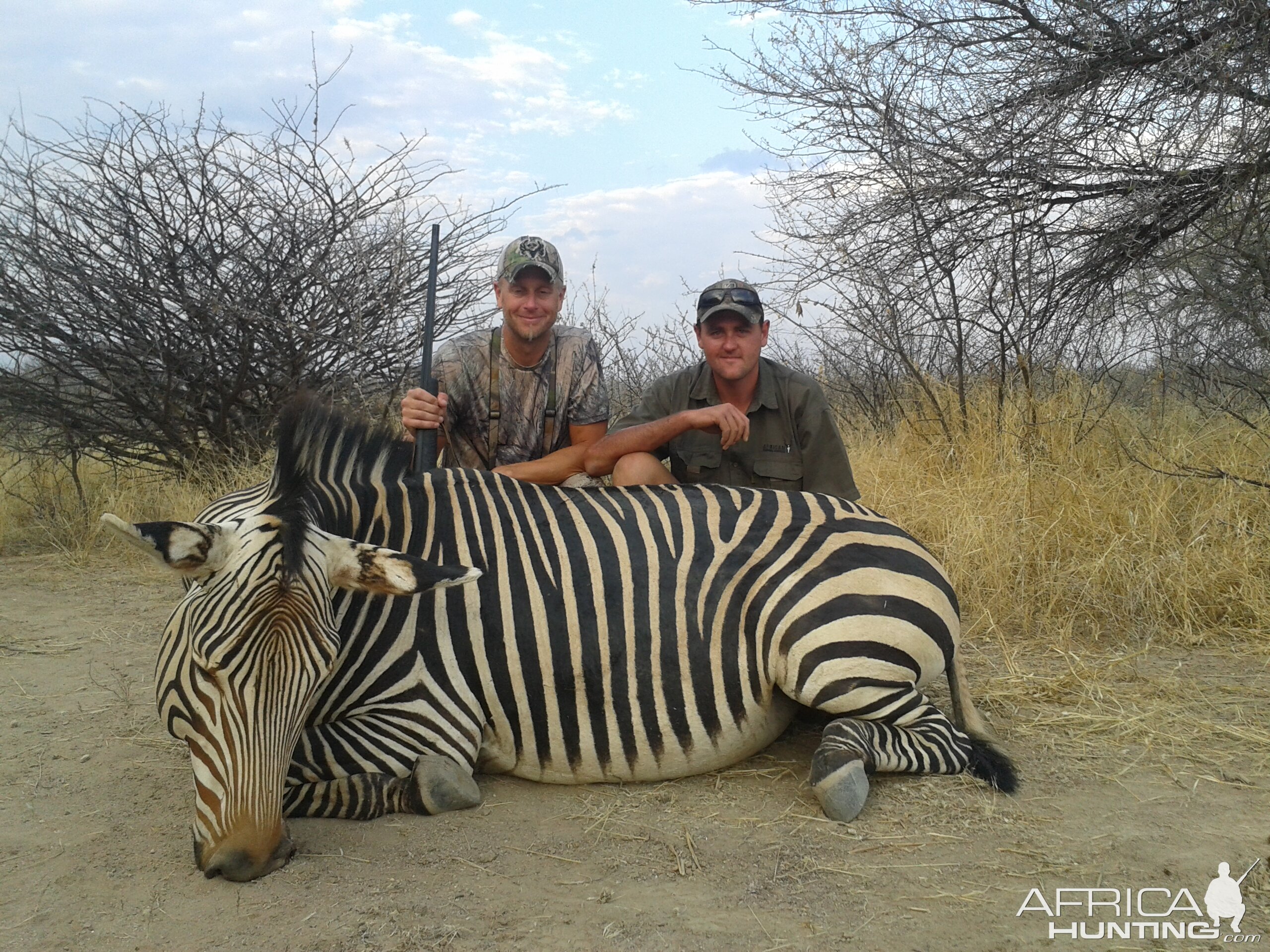 Hunt Hartmann's Mountain Zebra in Namibia