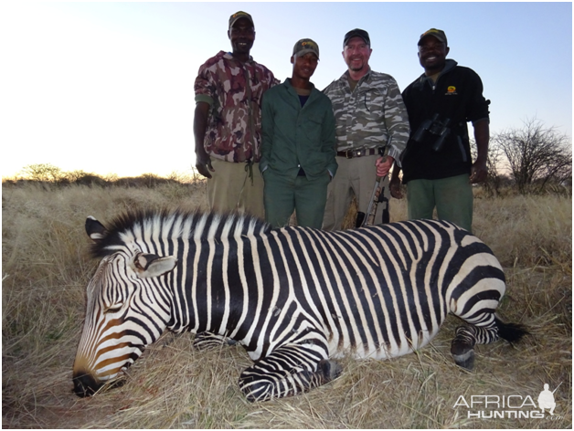 Hunt Hartmann's Mountain Zebra Namibia