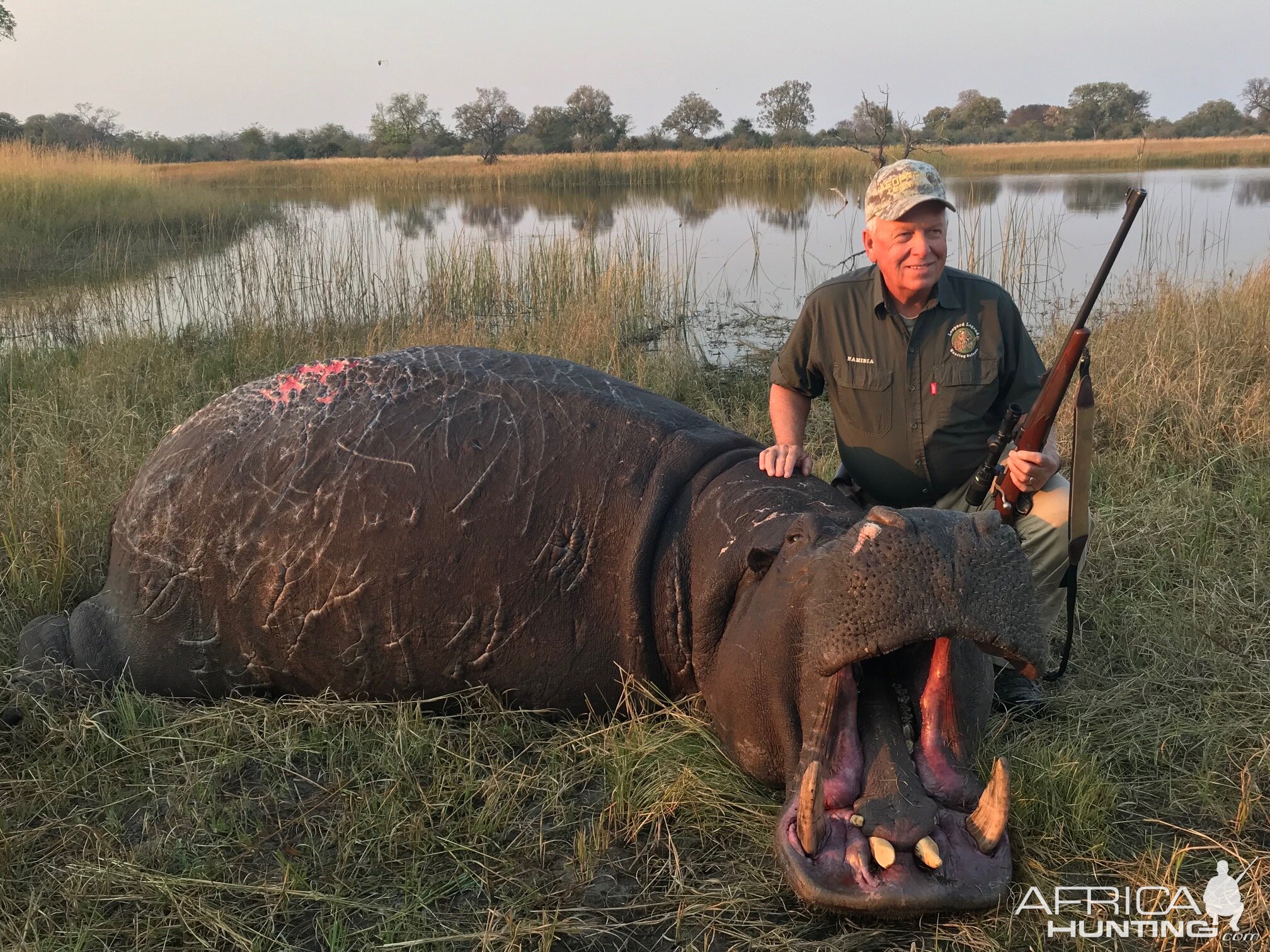 Hunt Hippo in Caprivi Namibia