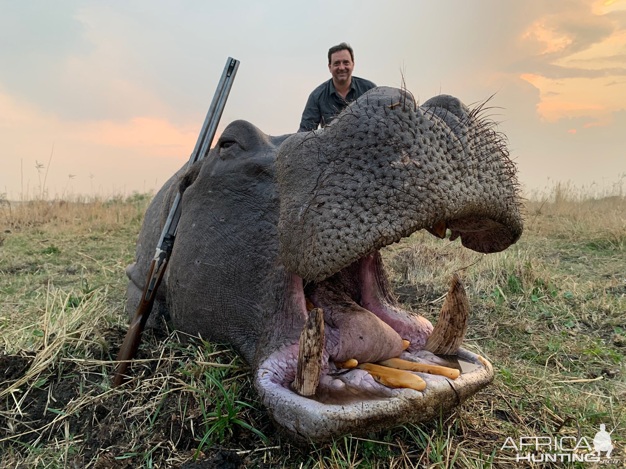 Hunt Hippo in the Caprivi Namibia