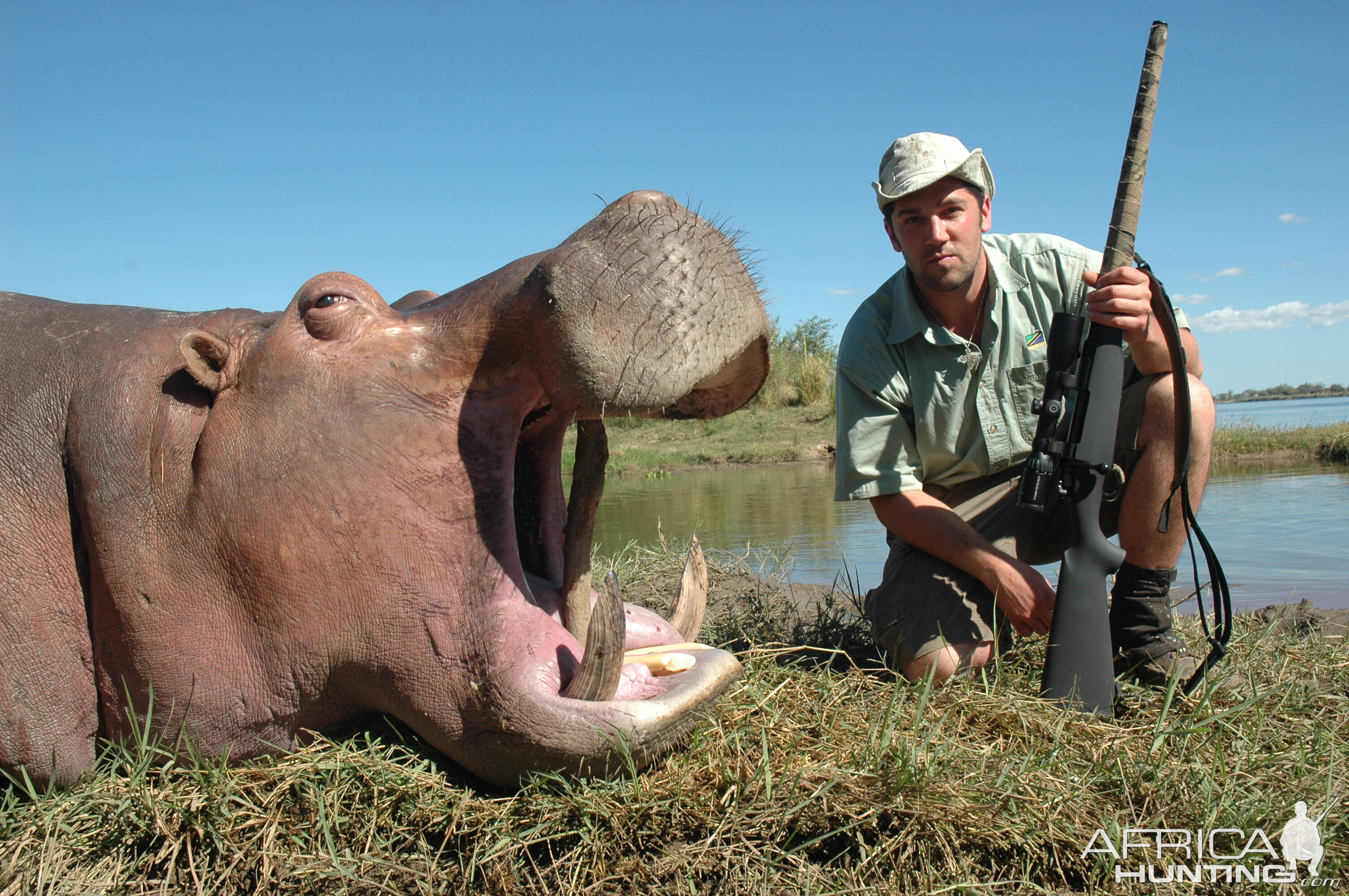 Hunt Hippo in Zimbabwe