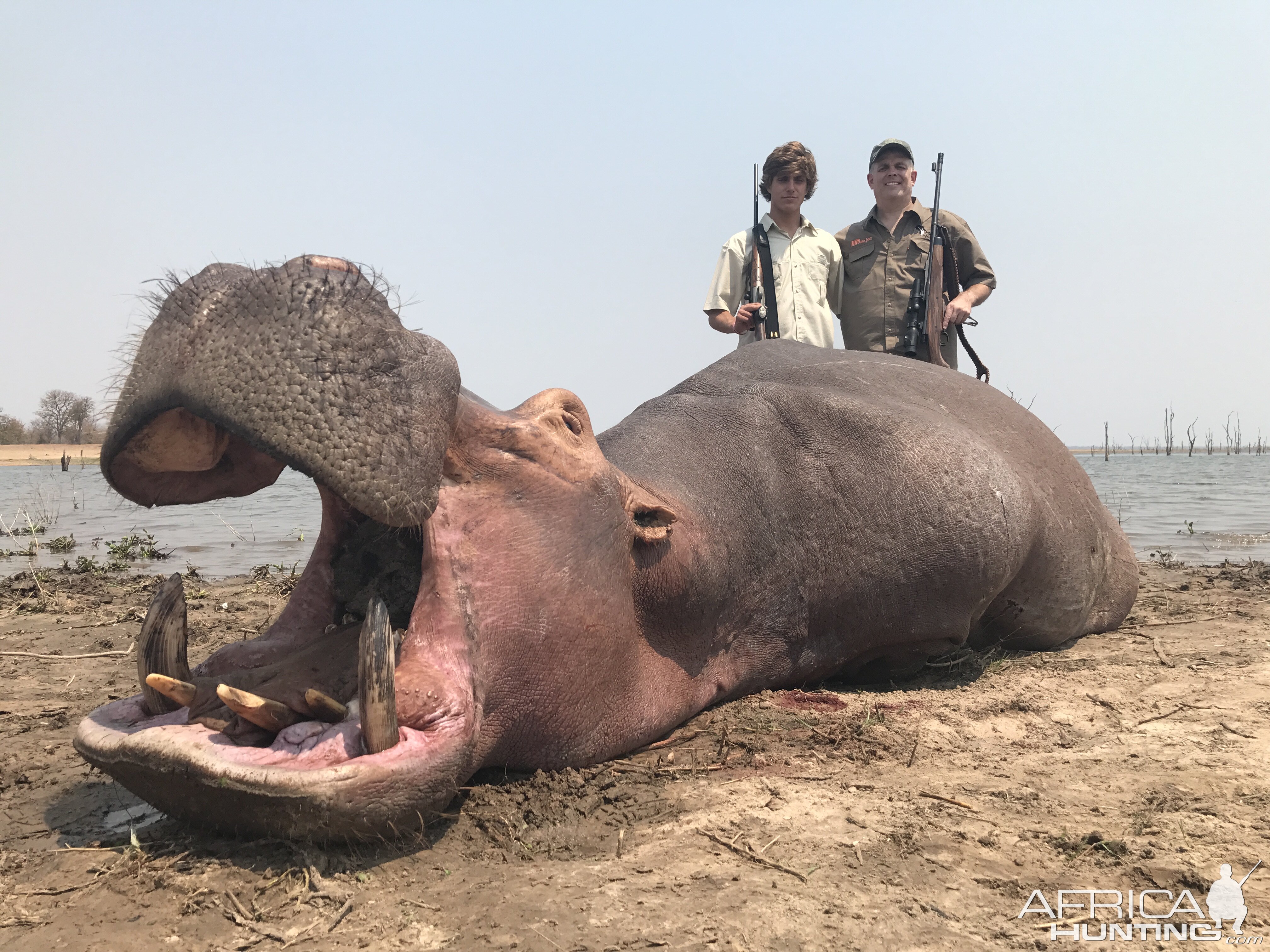 Hunt Hippo in Zimbabwe