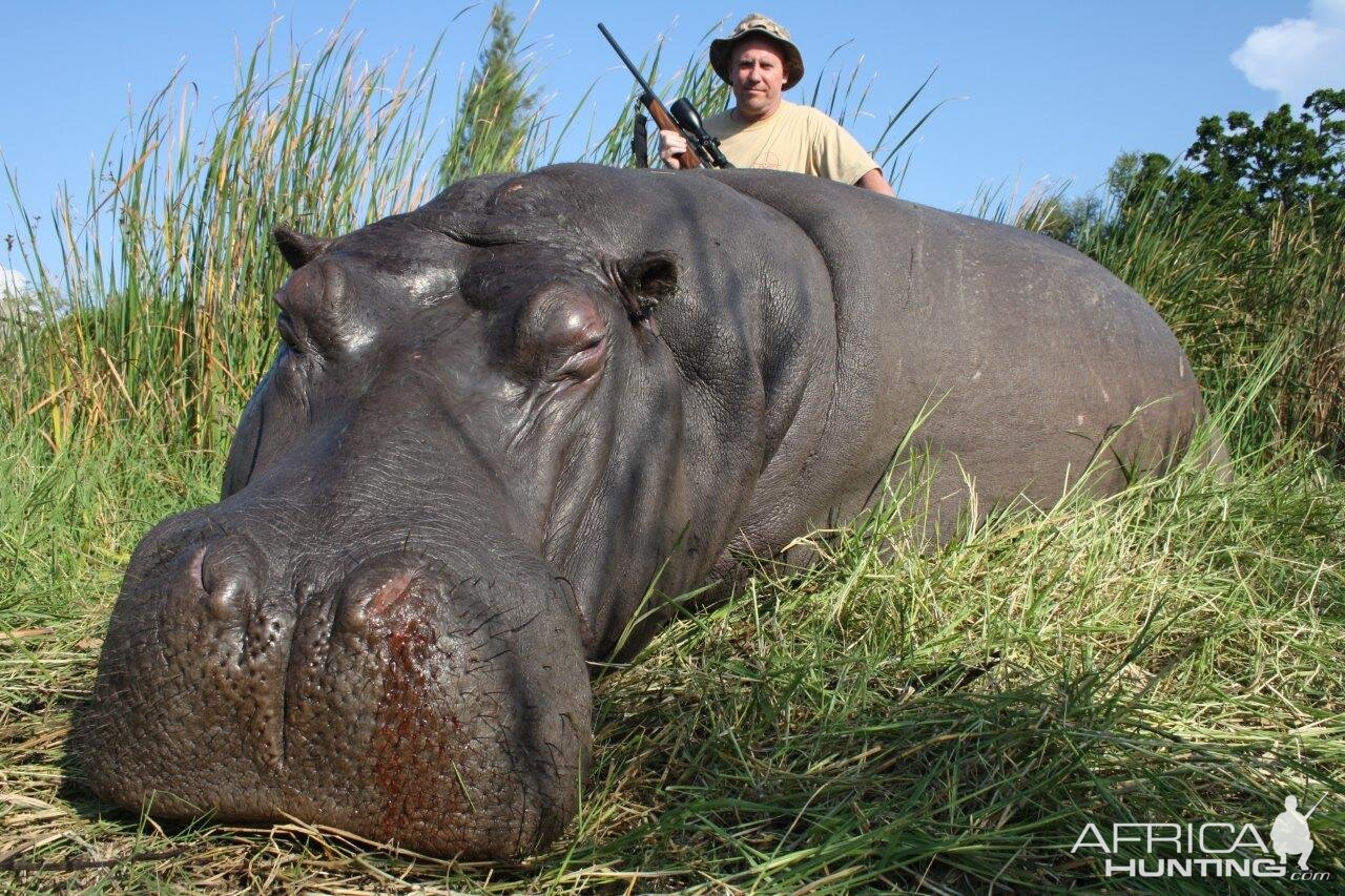 Hunt Hippo South Africa