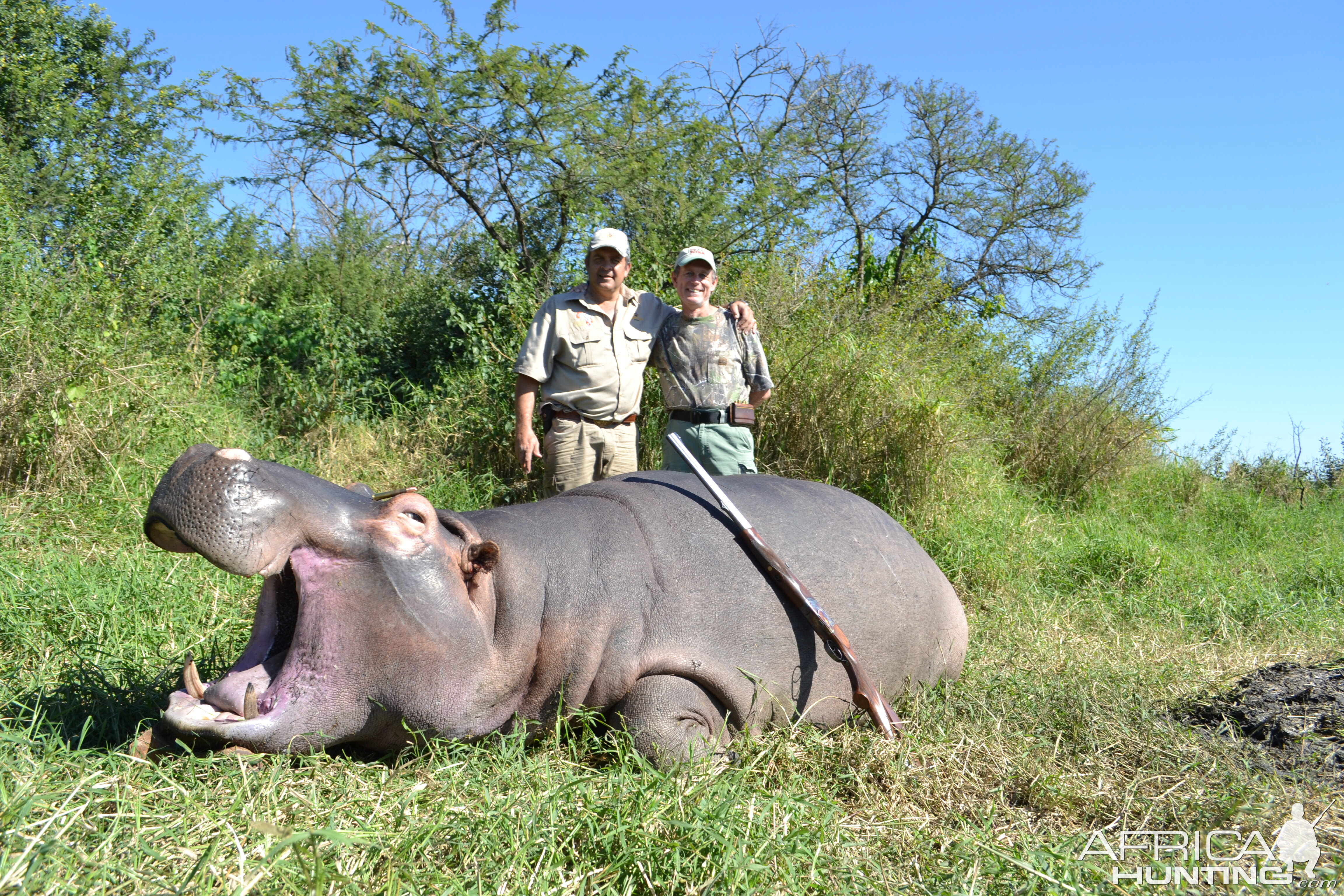 Hunt Hippo South Africa