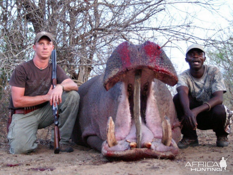 Hunt Hippo Tanzania