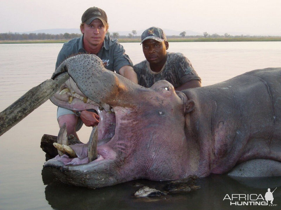 Hunt Hippo Tanzania