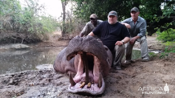 Hunt Hippo Tanzania