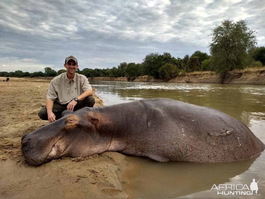 Hunt Hippo Zambia