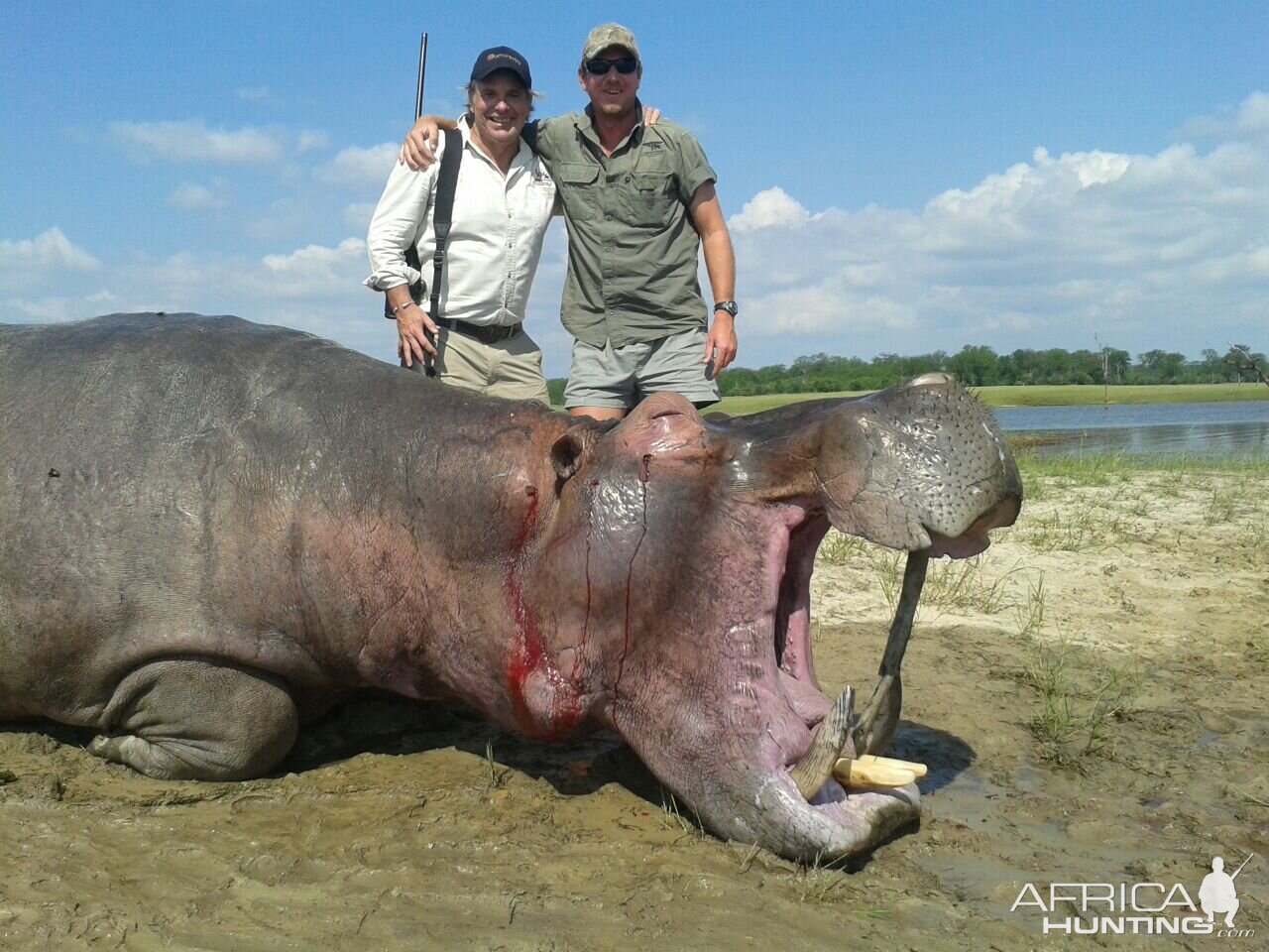 Hunt Hippo Zimbabwe