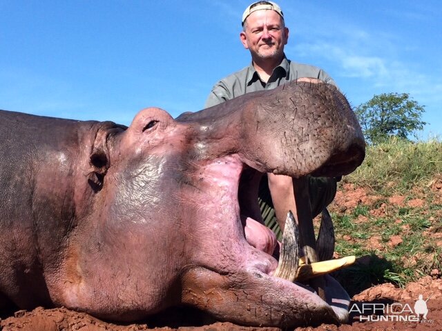 Hunt Hippo Zimbabwe