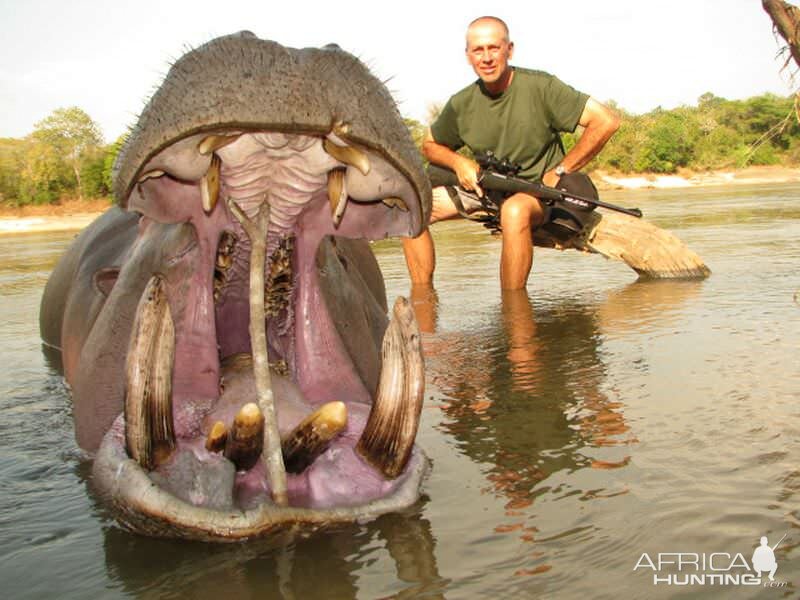 Hunt Hippo Zimbabwe