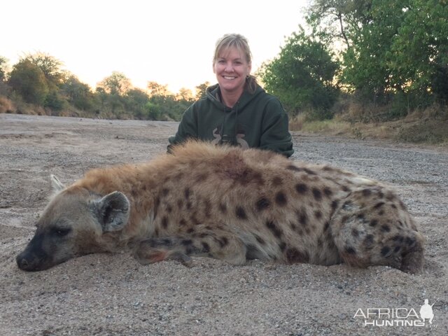 Hunt Hyena Zimbabwe