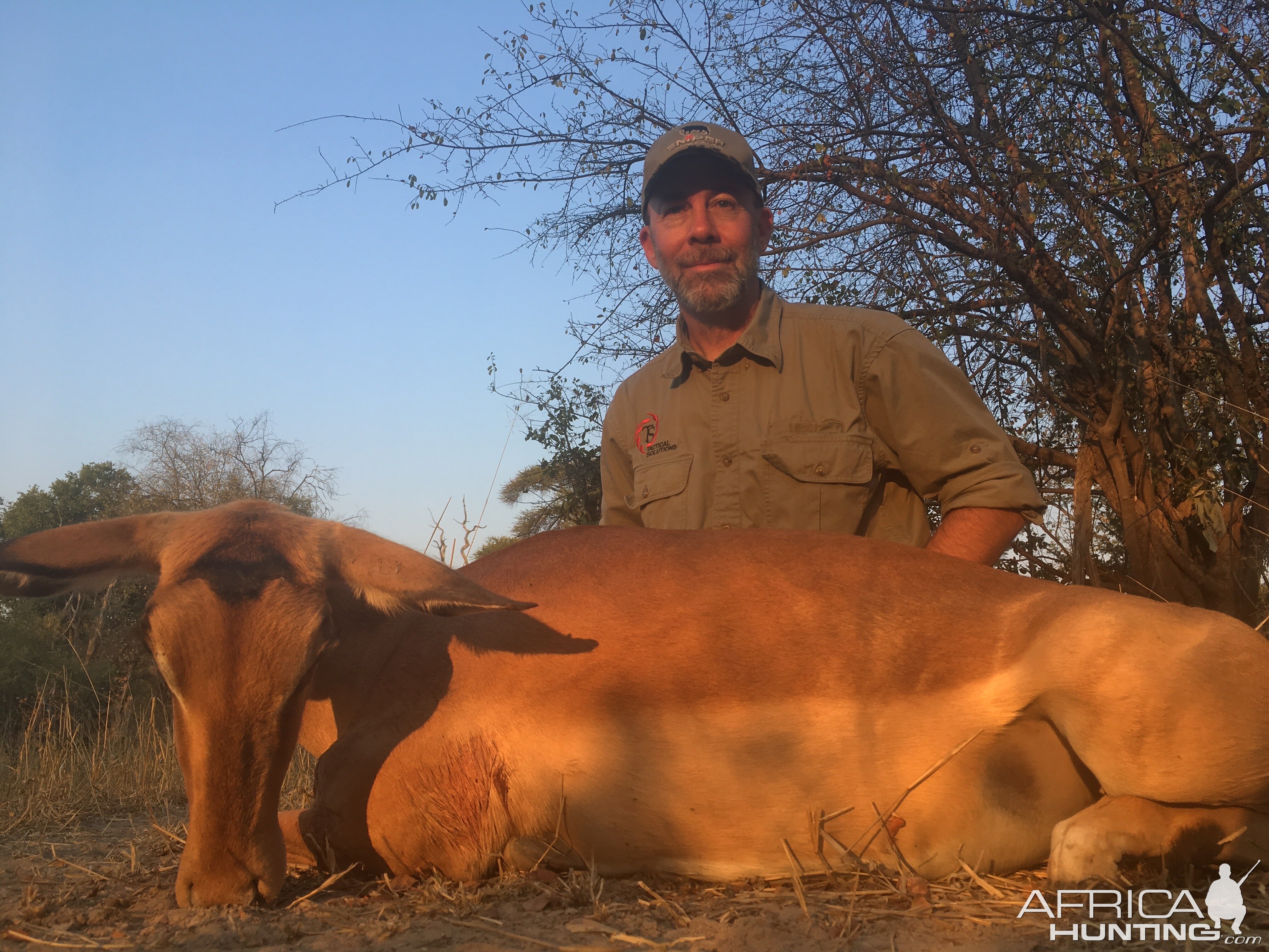 Hunt Impala Female in Zimbabwe