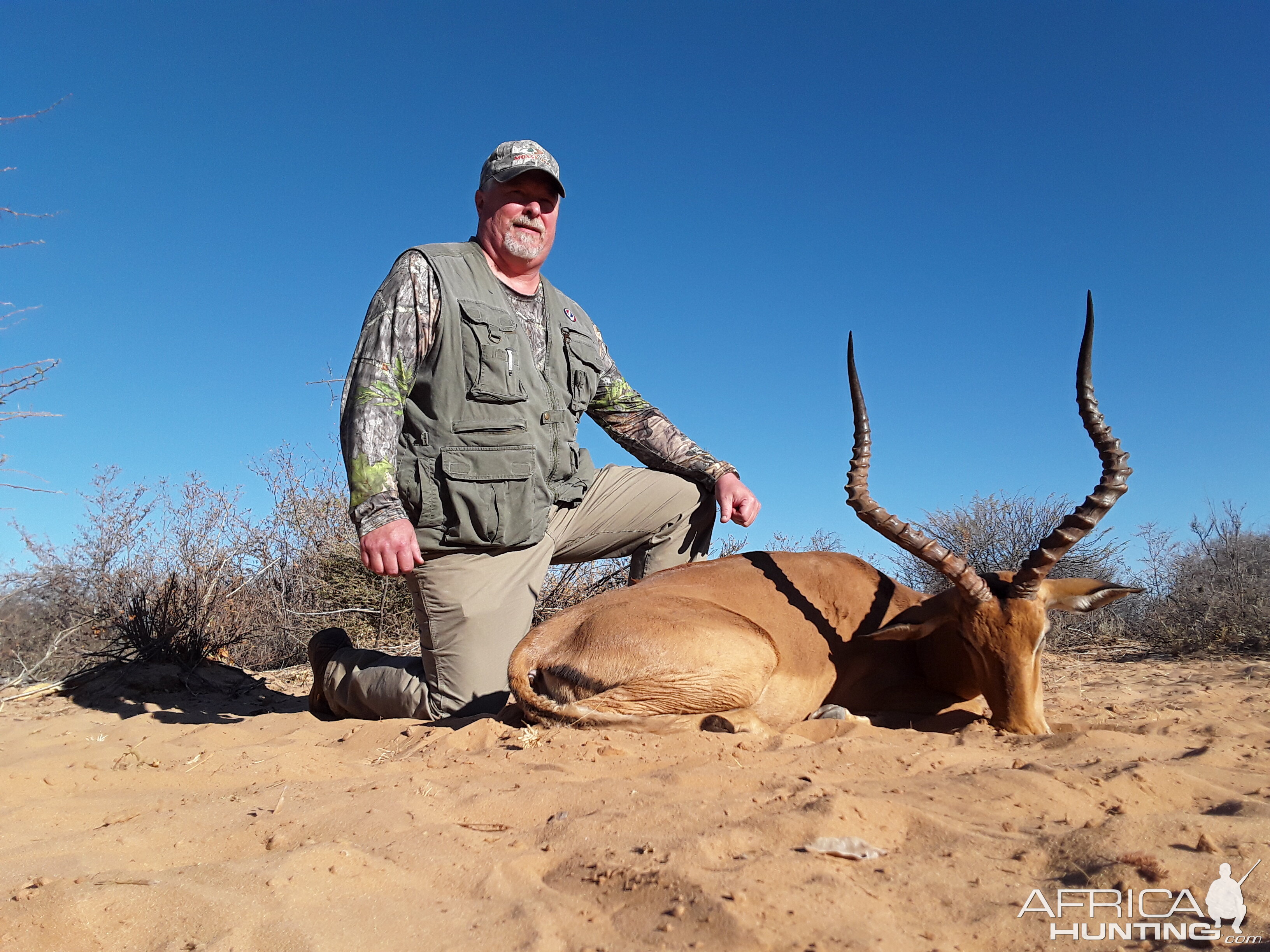 Hunt Impala in Botswana