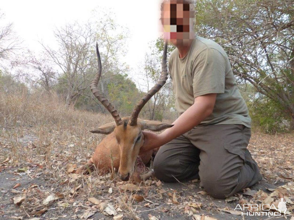 Hunt Impala in Mozambique