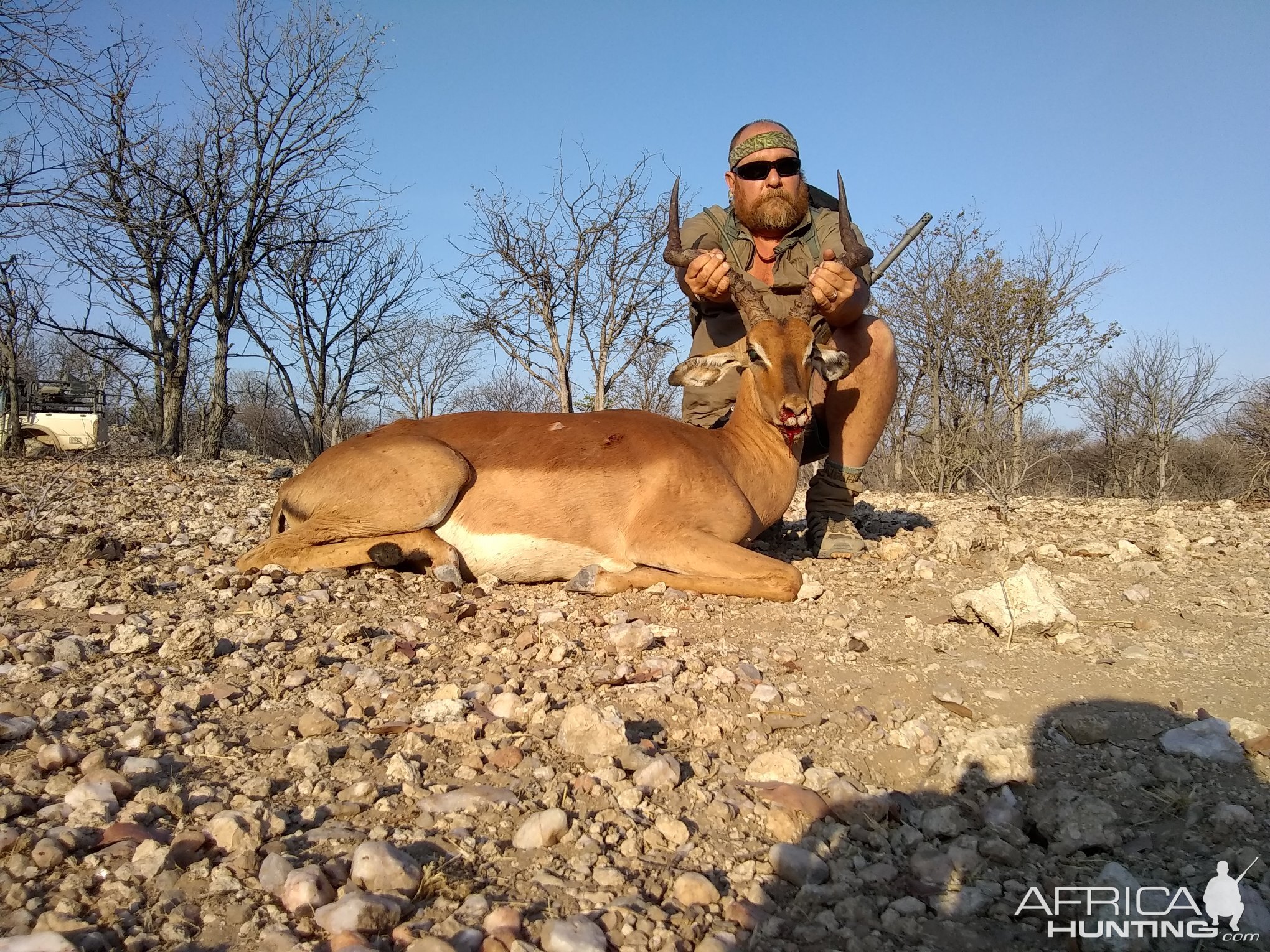 Hunt Impala in Namibia