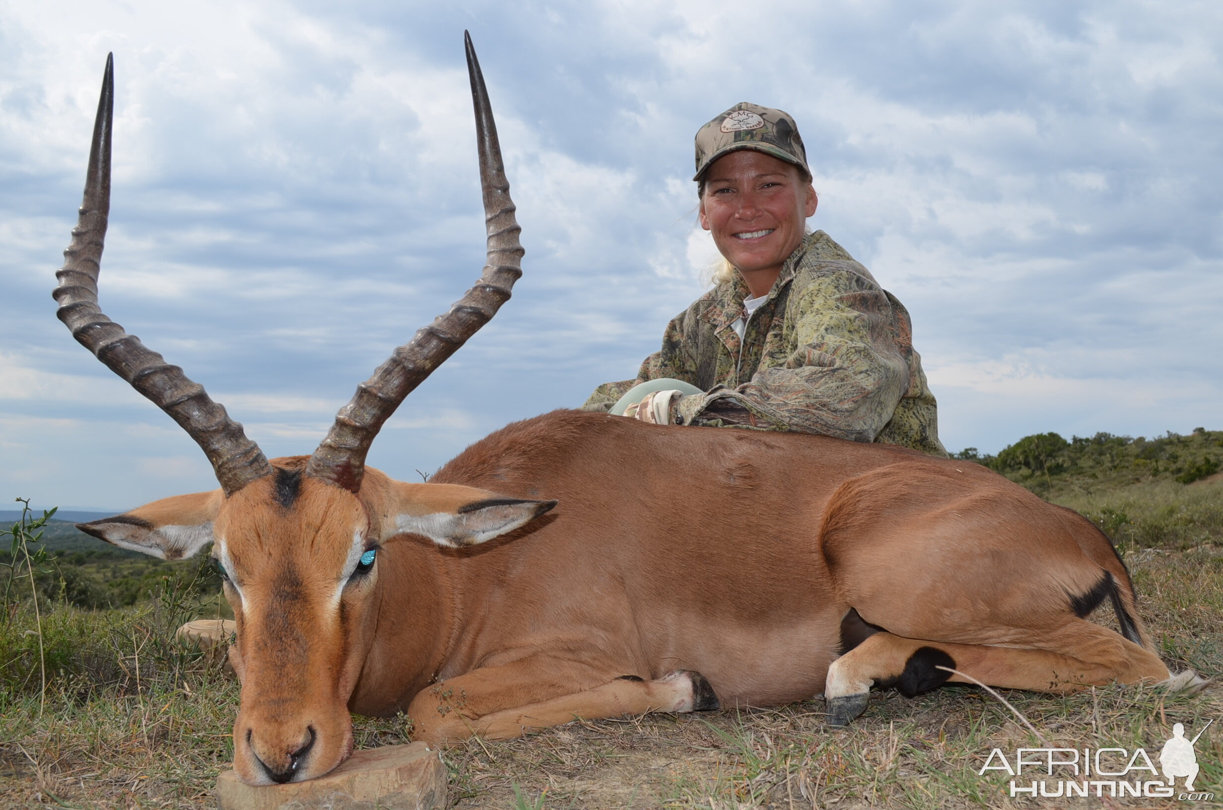 Hunt impala in South Africa