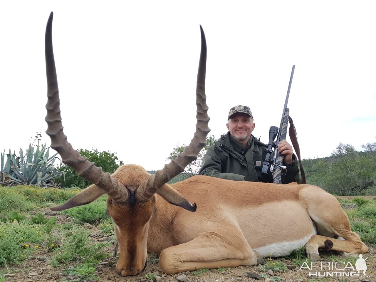 Hunt Impala in South Africa