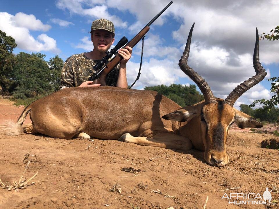 Hunt Impala in South Africa