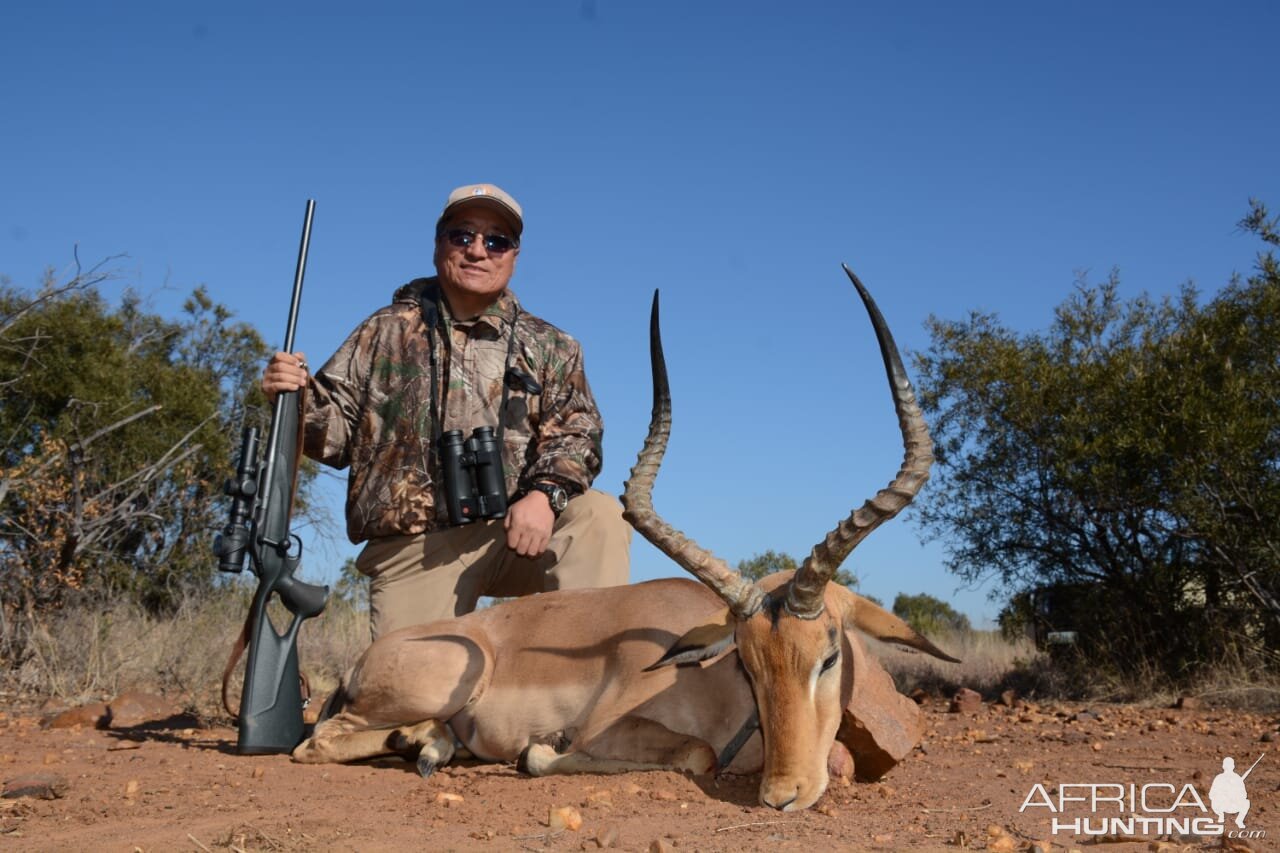 Hunt Impala in South Africa