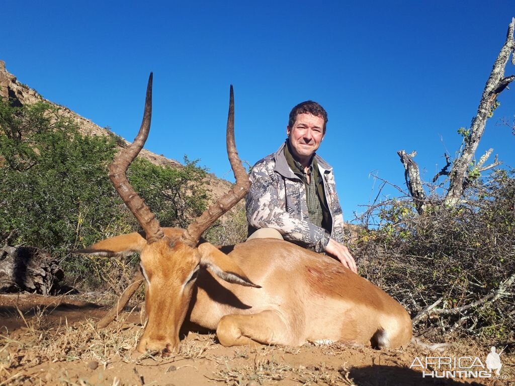 Hunt Impala in South Africa