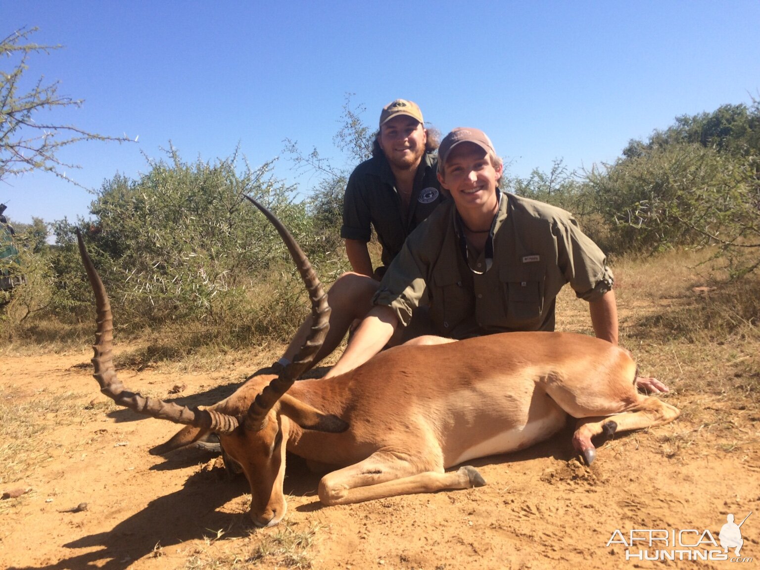 Hunt Impala in South Africa