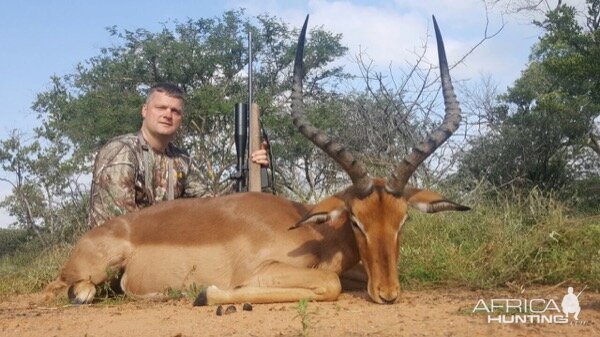 Hunt Impala in South Africa