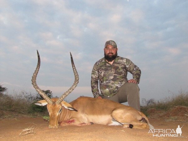 Hunt Impala in South Africa