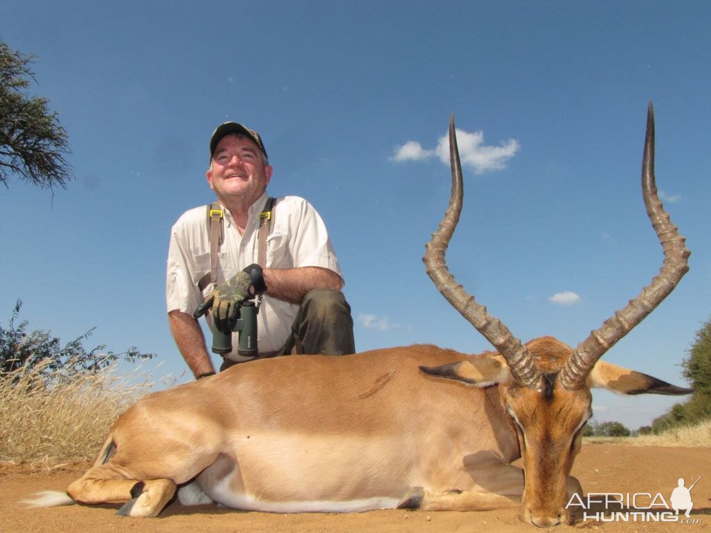 Hunt Impala in South Africa