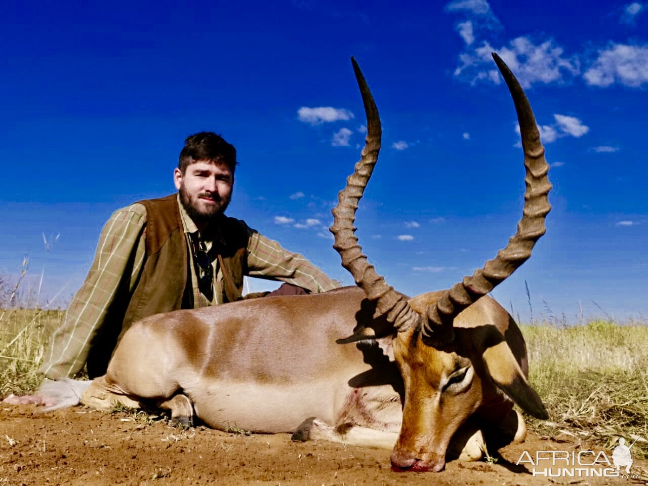 Hunt Impala in South Africa