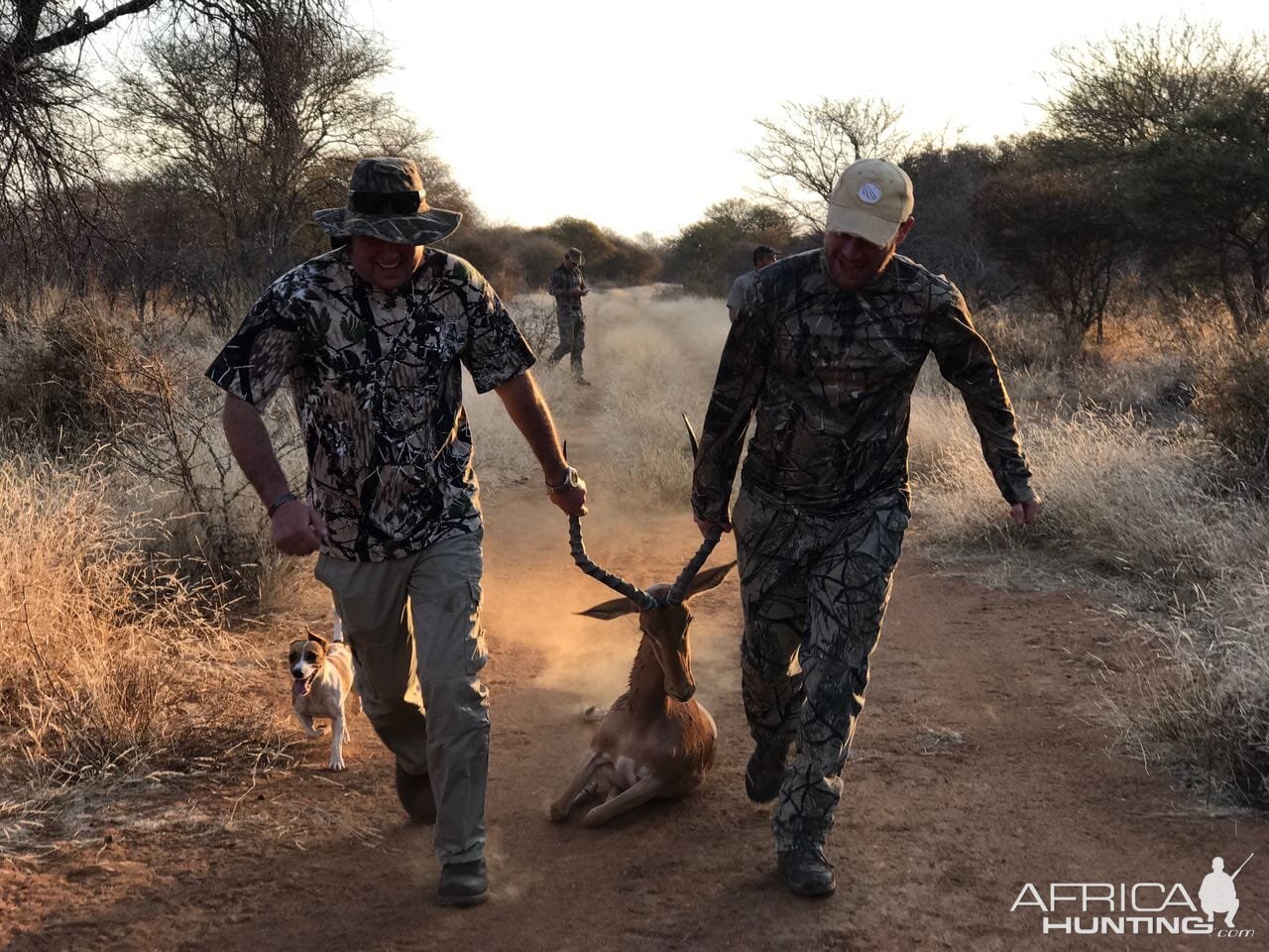 Hunt Impala in South Africa