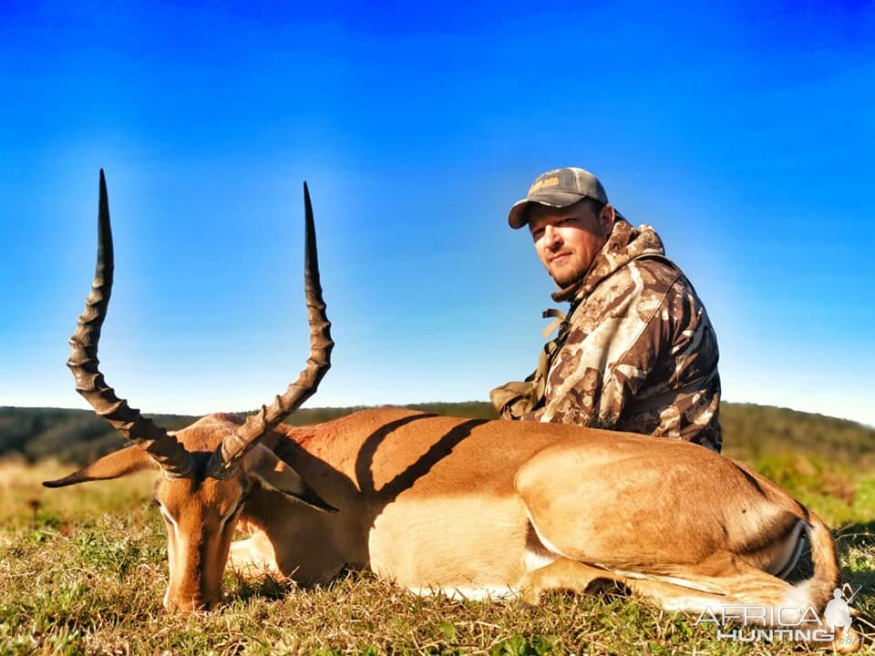 Hunt Impala in South Africa