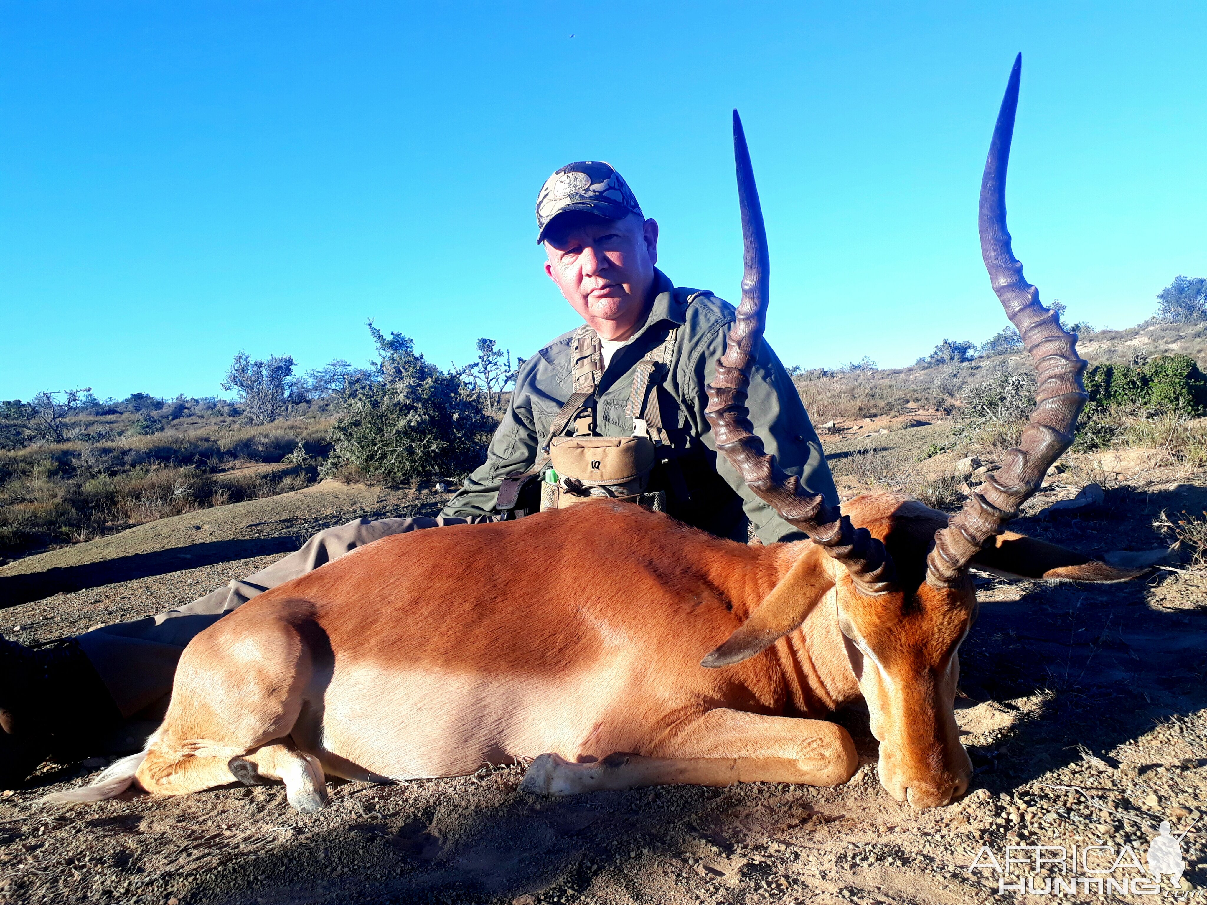 Hunt Impala in South Africa