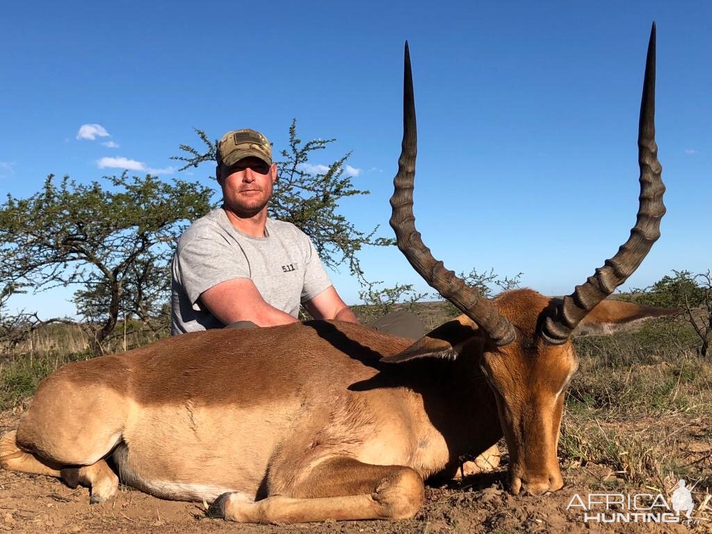 Hunt Impala in South Africa