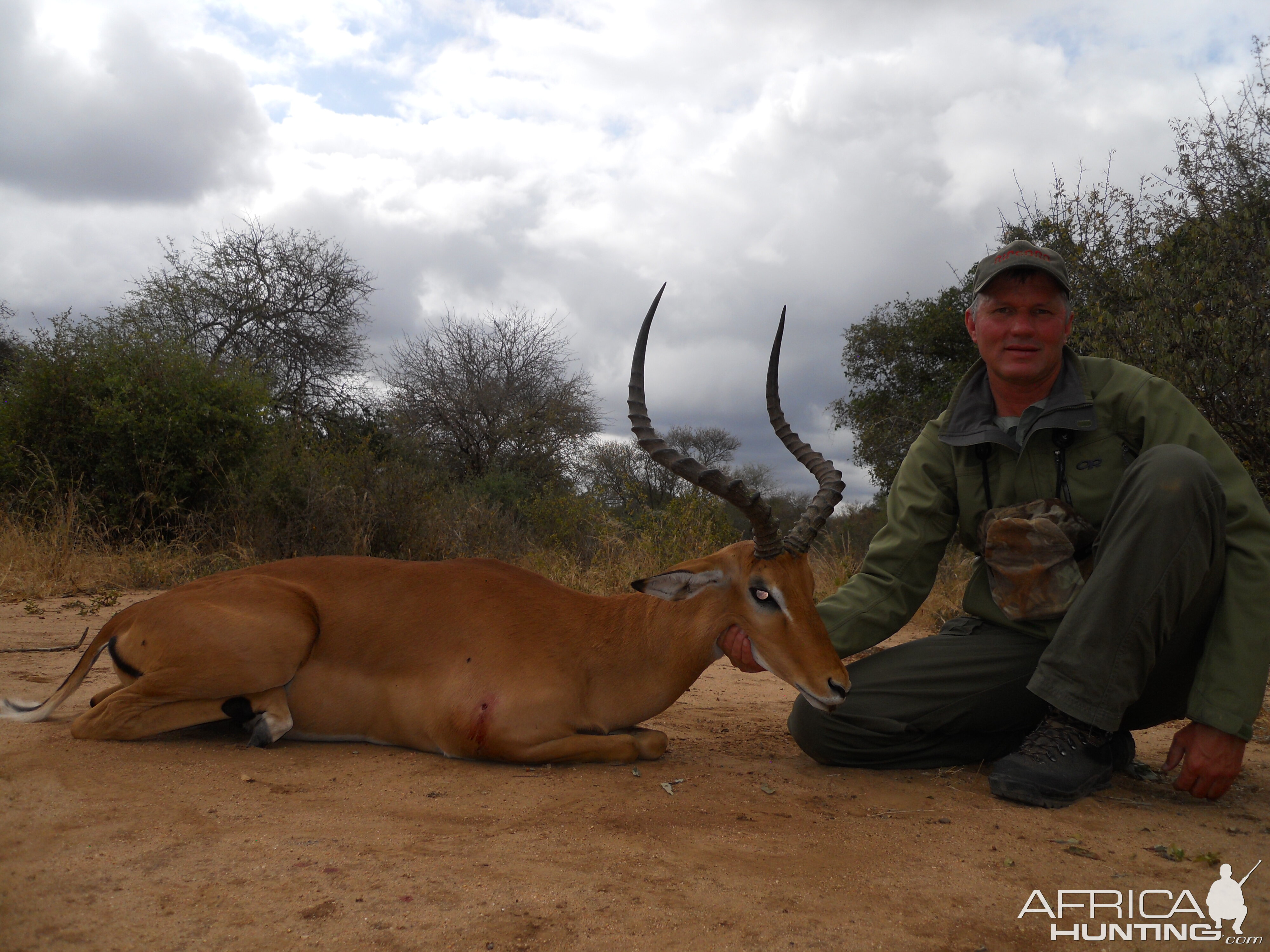 Hunt Impala in Tanzania