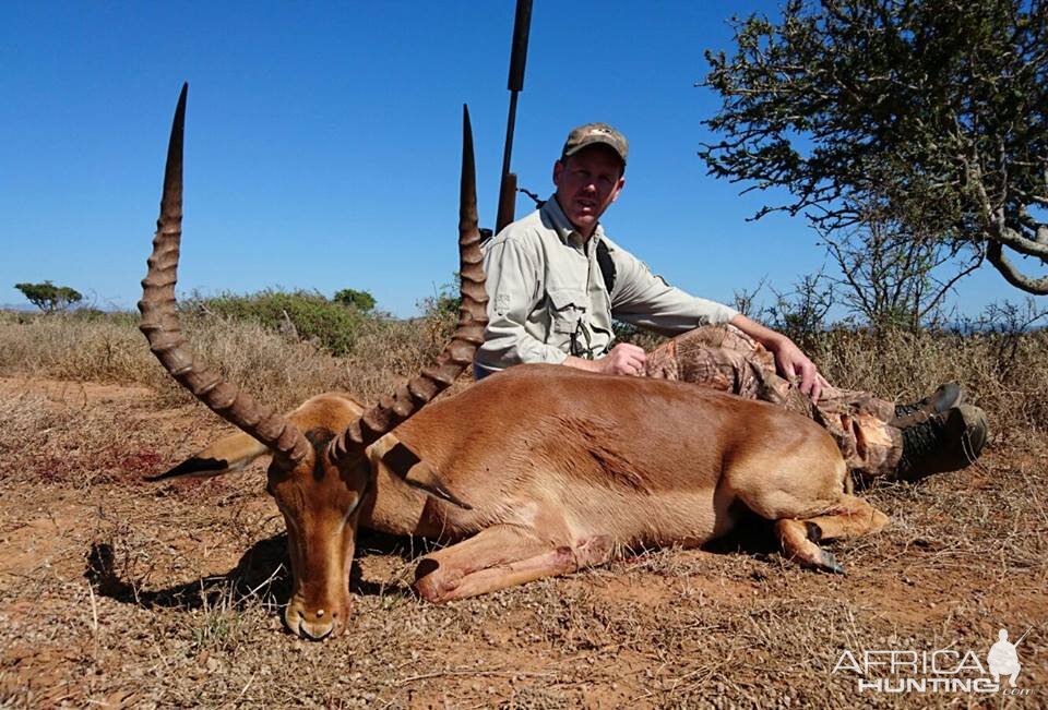 Hunt Impala South Africa