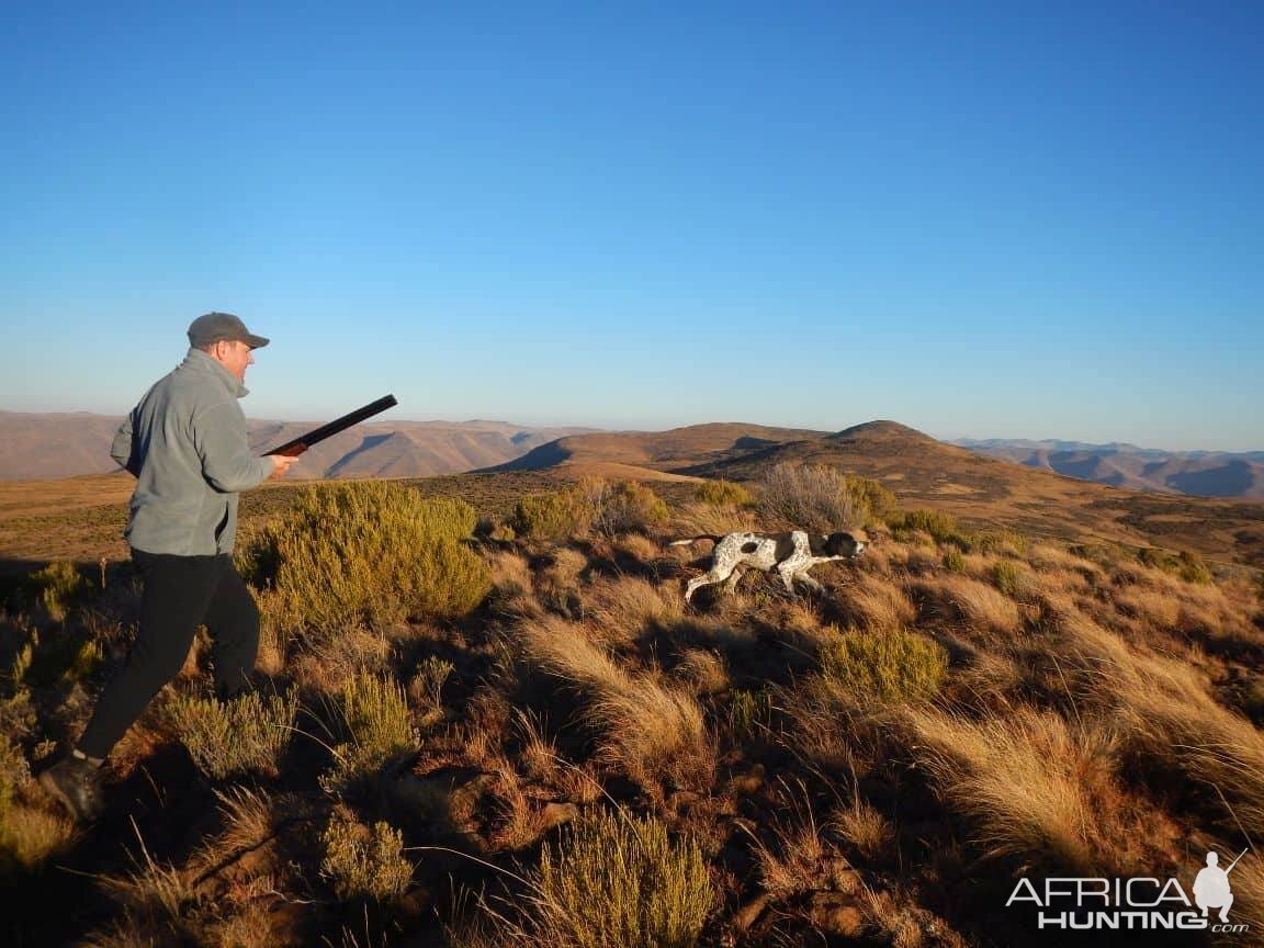 Hunt in South Africa