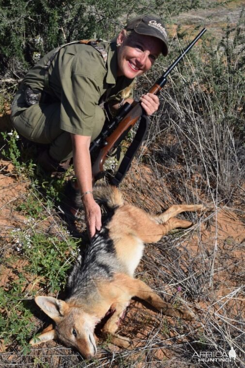 Hunt Jackal in Namibia